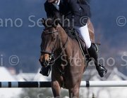 Wriering World Wide TosTour2013- S5 2771 : Arezzo, Arezzo Equestrian Centre, Toscana Tour 2013, Wiering Harrie, World wide, foto di Stefano Secchi ©